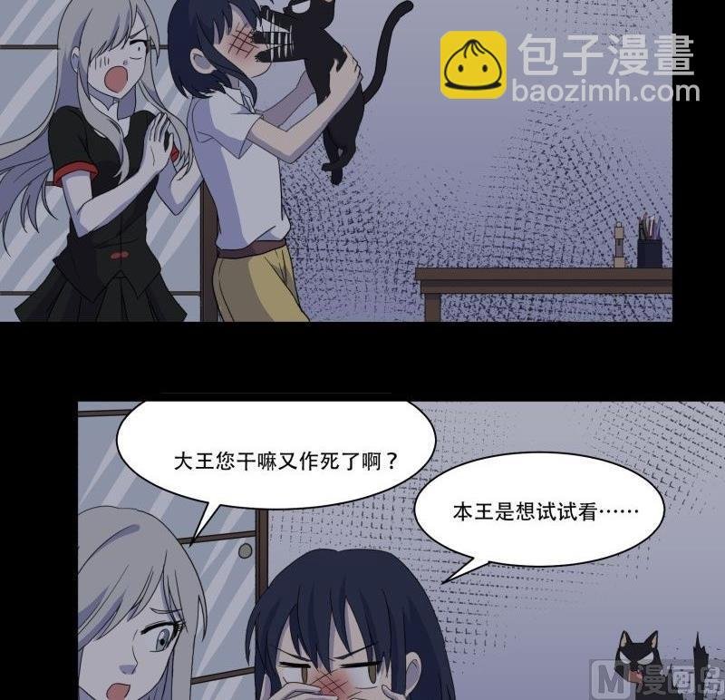 第11话 追踪