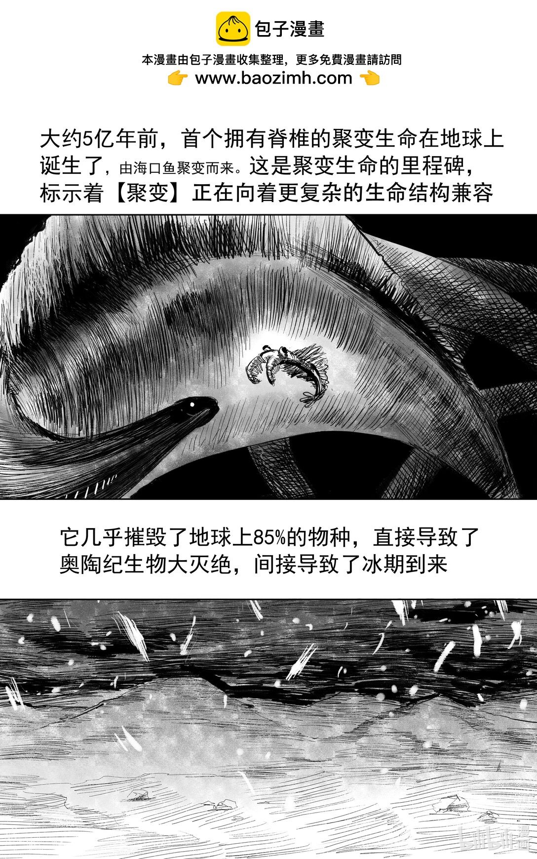 第11话 11
