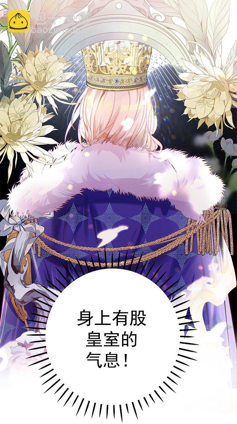 013 皇室的气息