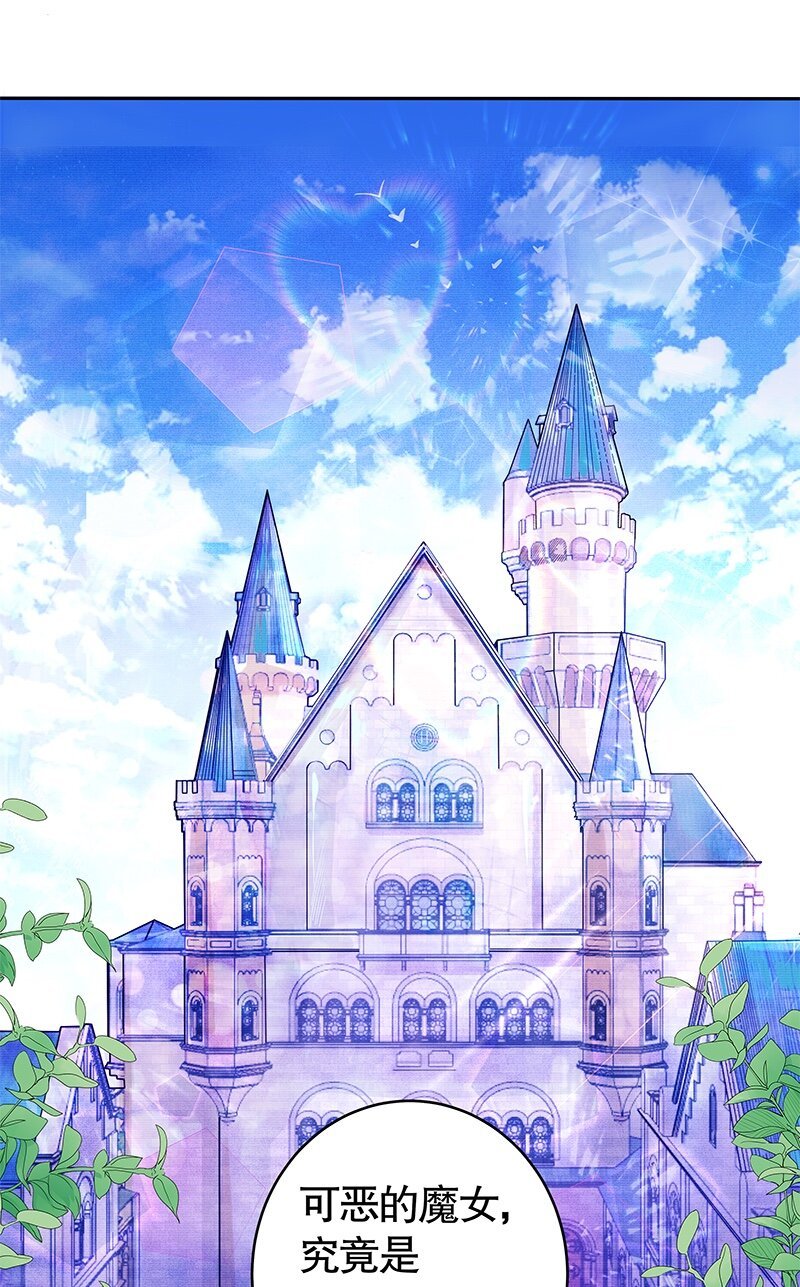 003 魔女小姐收婚书