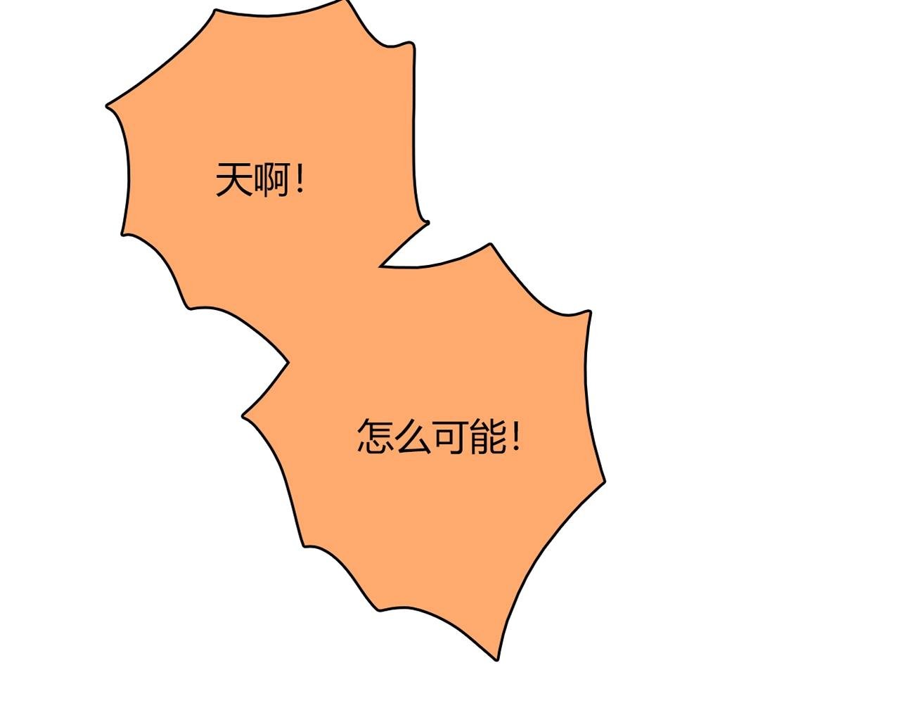 第23话 偶像