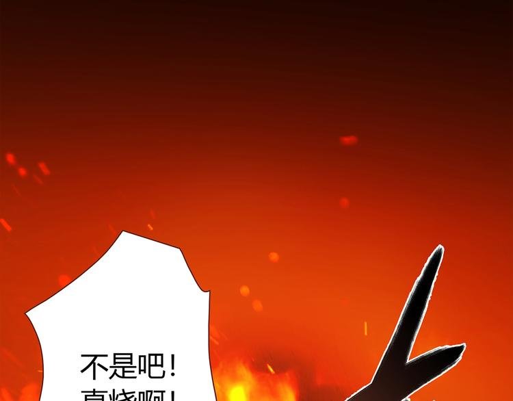 第3话 营养有点跟不上