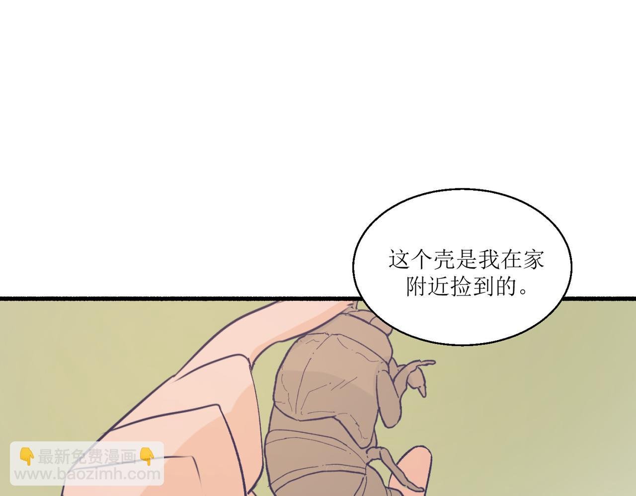 12高中生夏茶