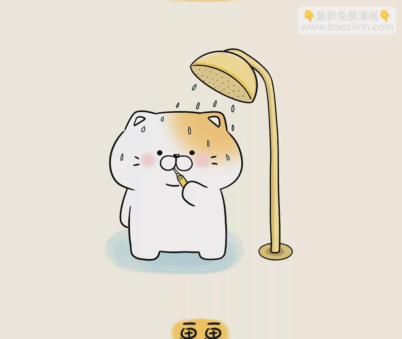 喵喵的一天