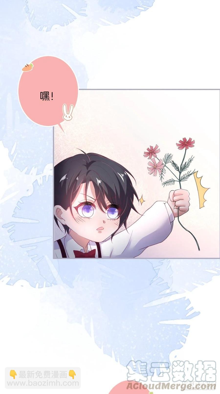 沈霖逍追妻！难！