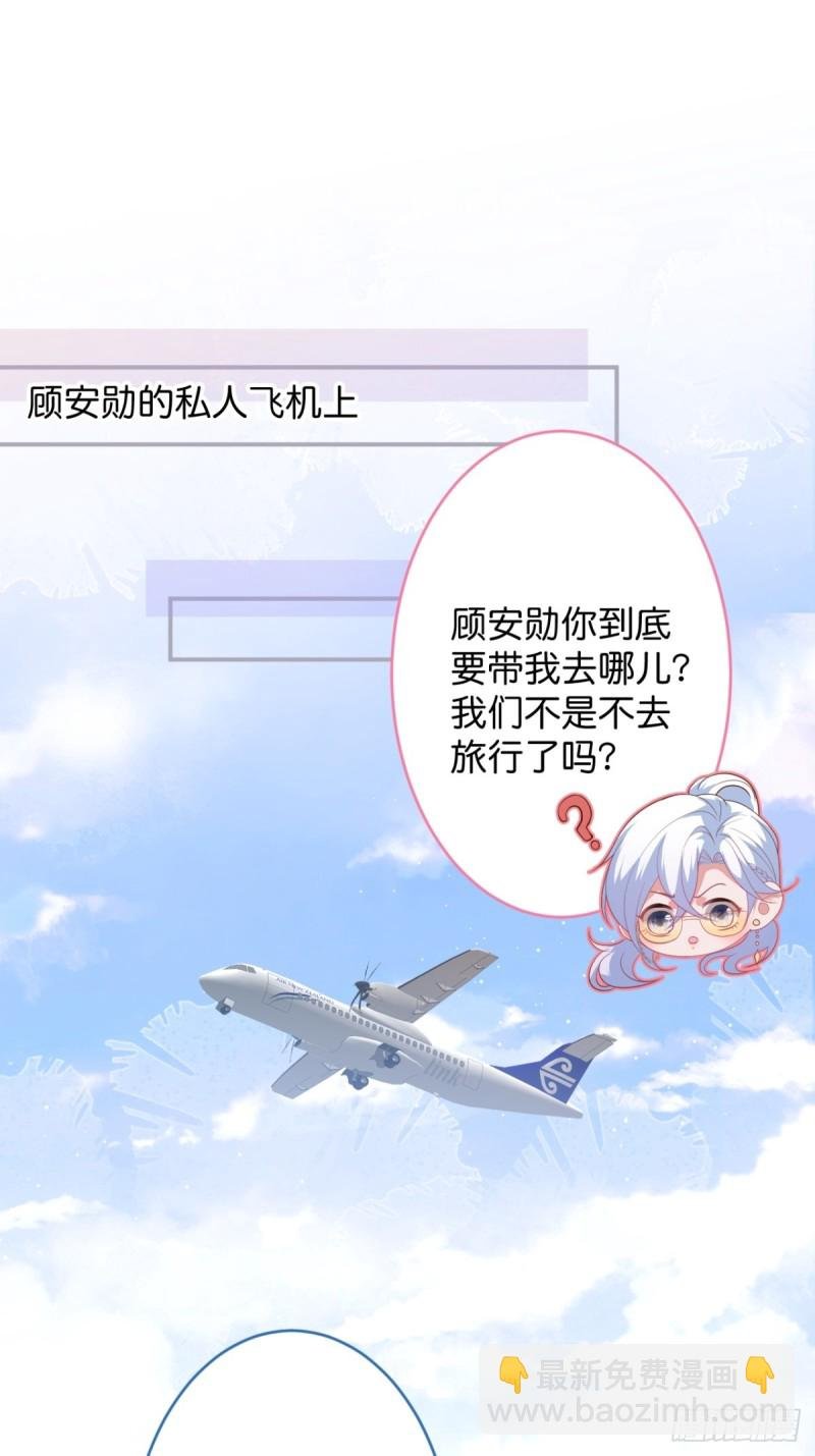 顾狗和沈狗的小惊喜。