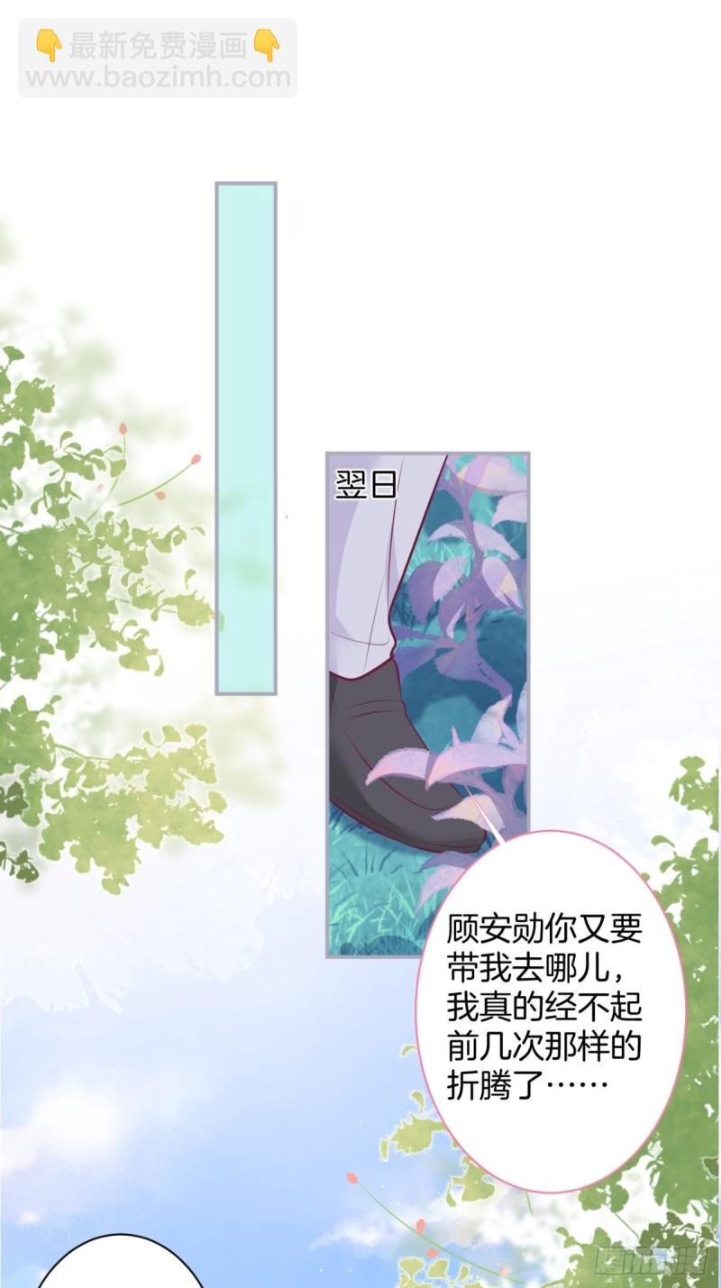 包甜！顾狗再次求婚！