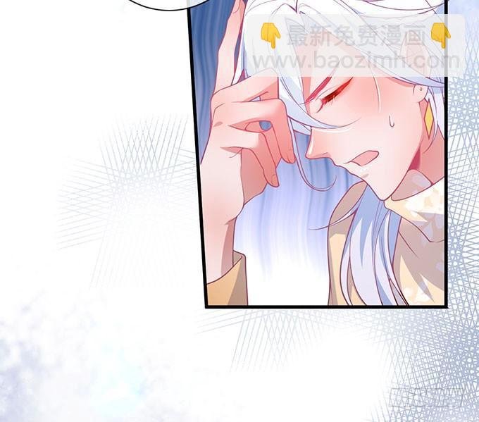 美人的诱惑~