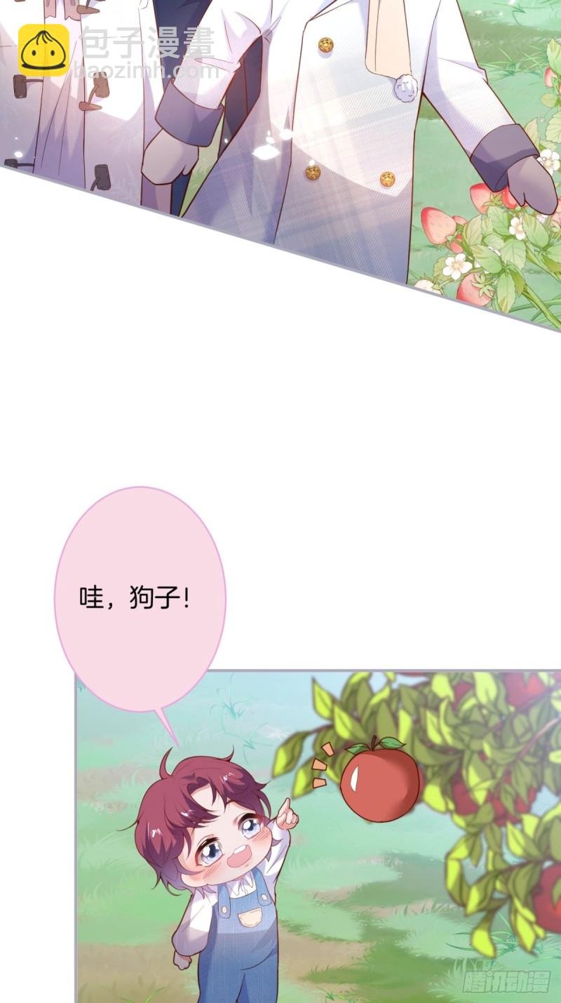 苏寒，是我迟了吗？