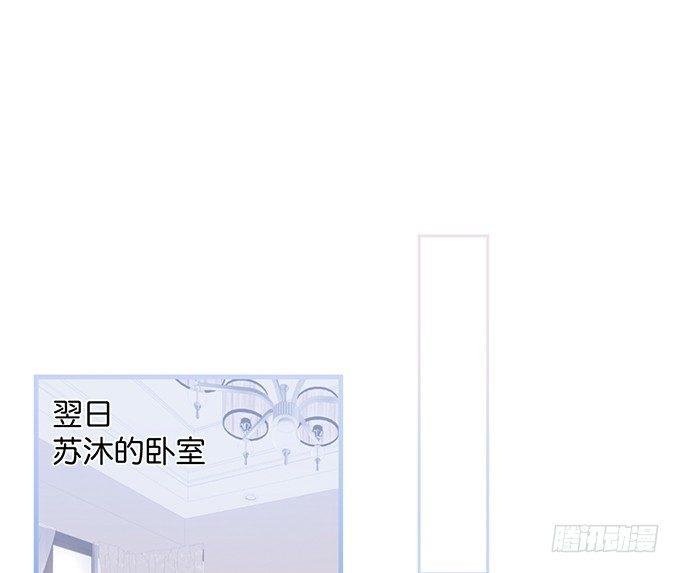 黏人精与高冷派
