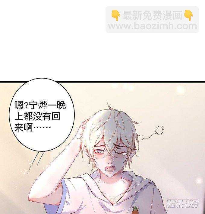 黏人精与高冷派