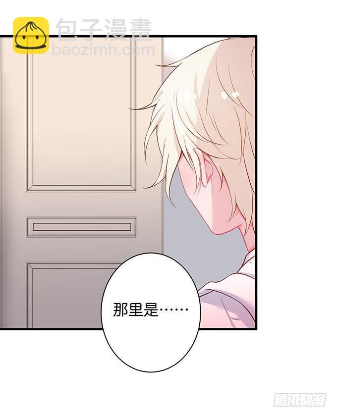 黏人精与高冷派