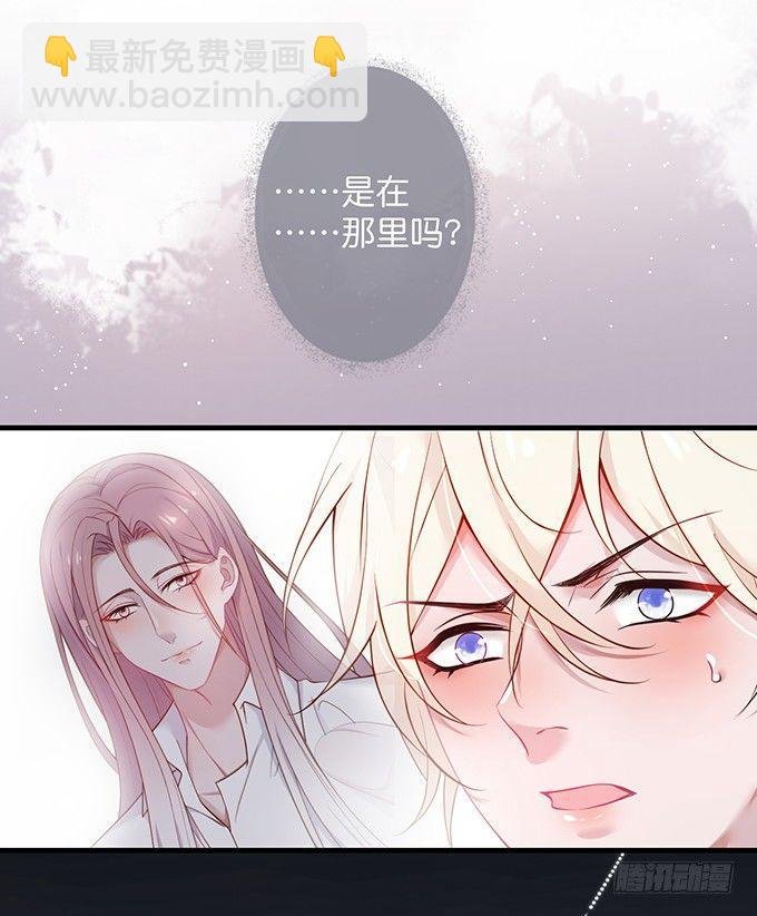 黏人精与高冷派