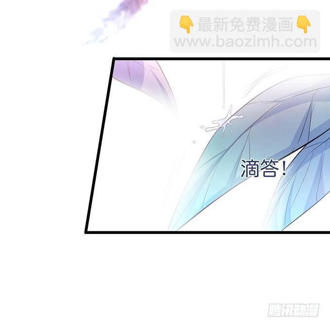 小白兔和大灰狼。