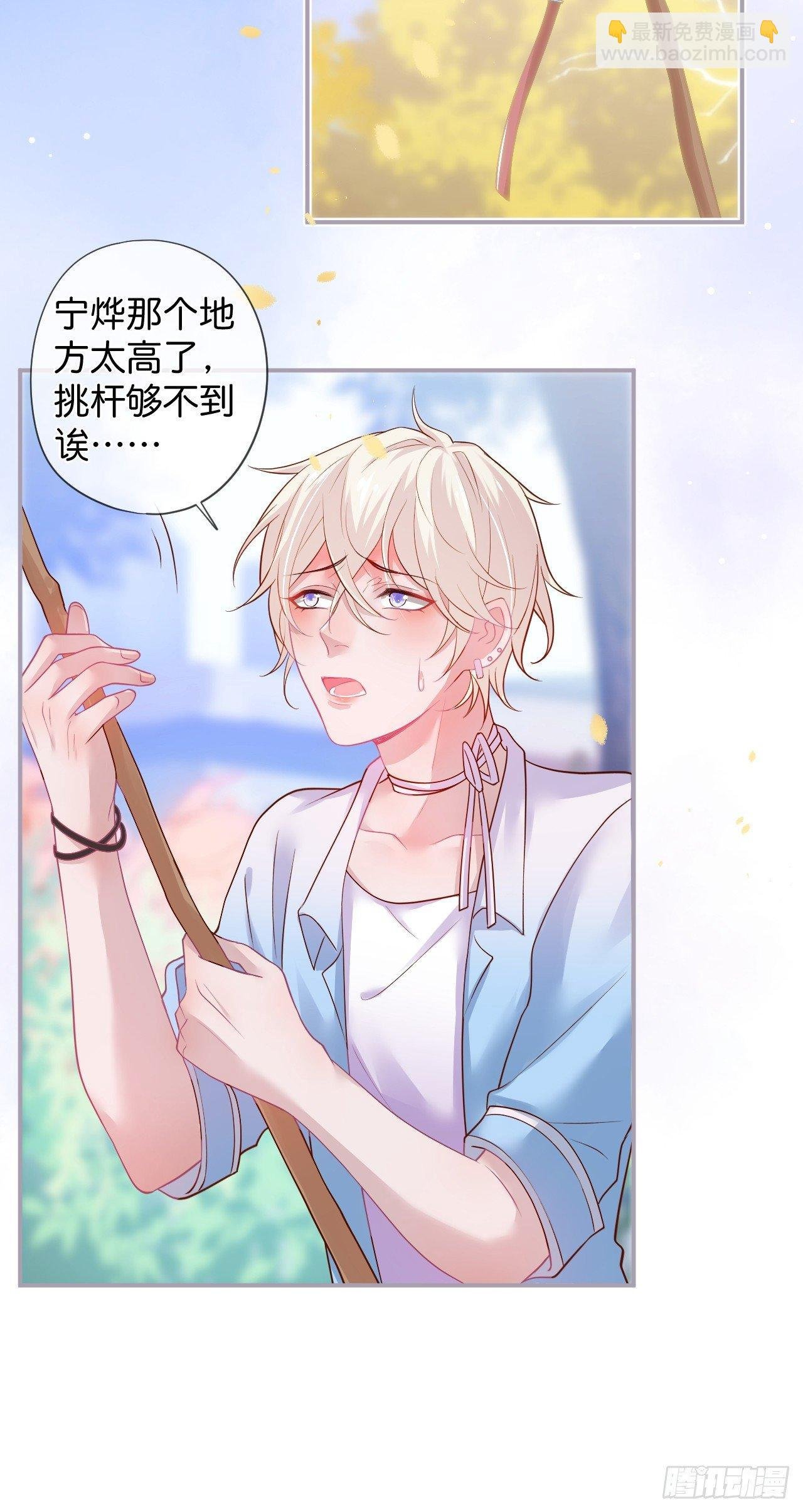 银杏树的浪漫~