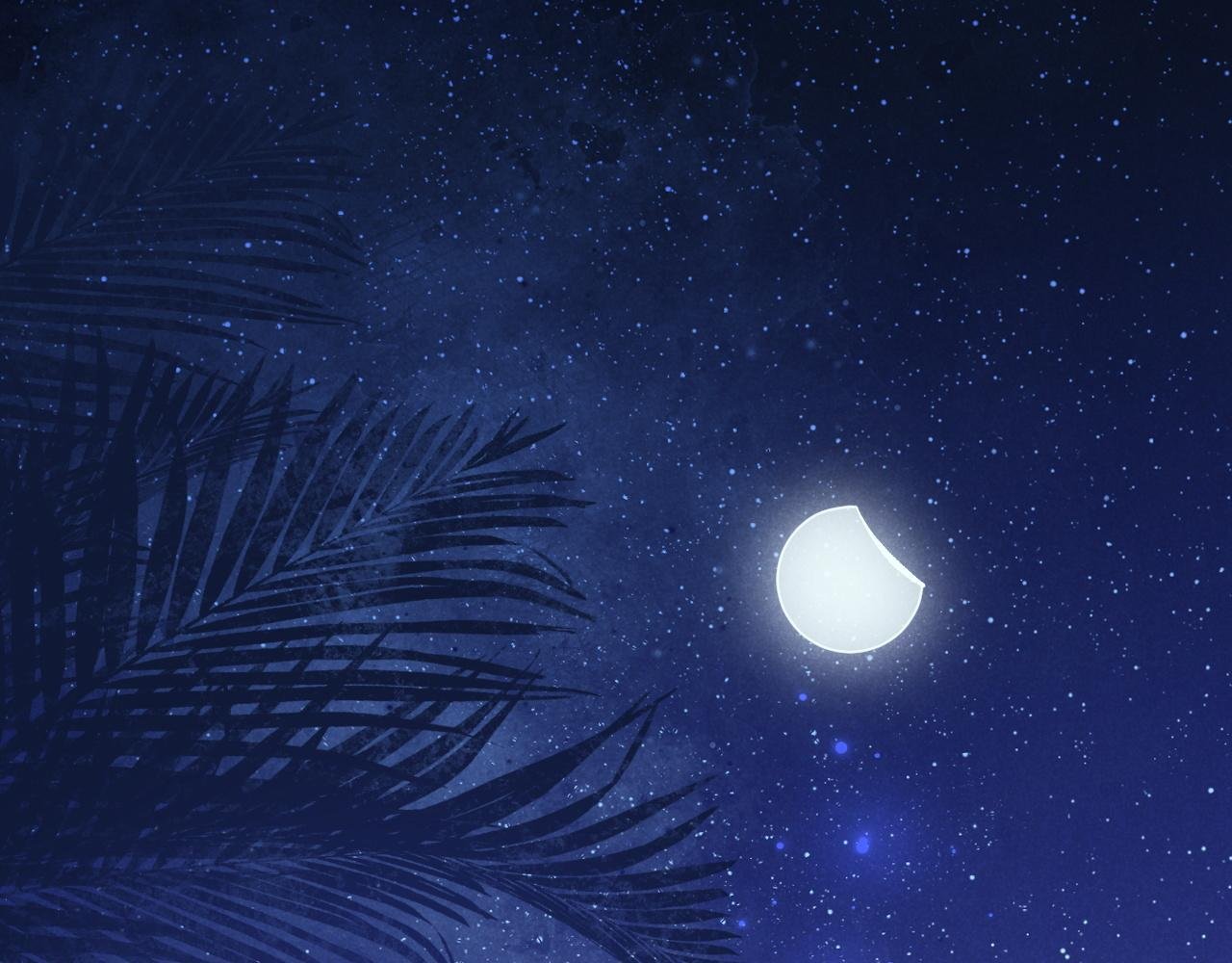 第115话 月夜暗涌