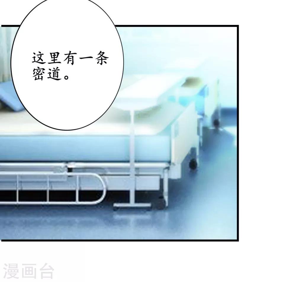 第15话 力大无穷小白兔