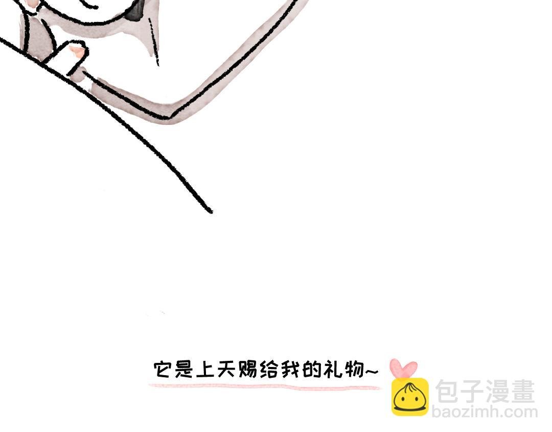 戴草帽的小猪