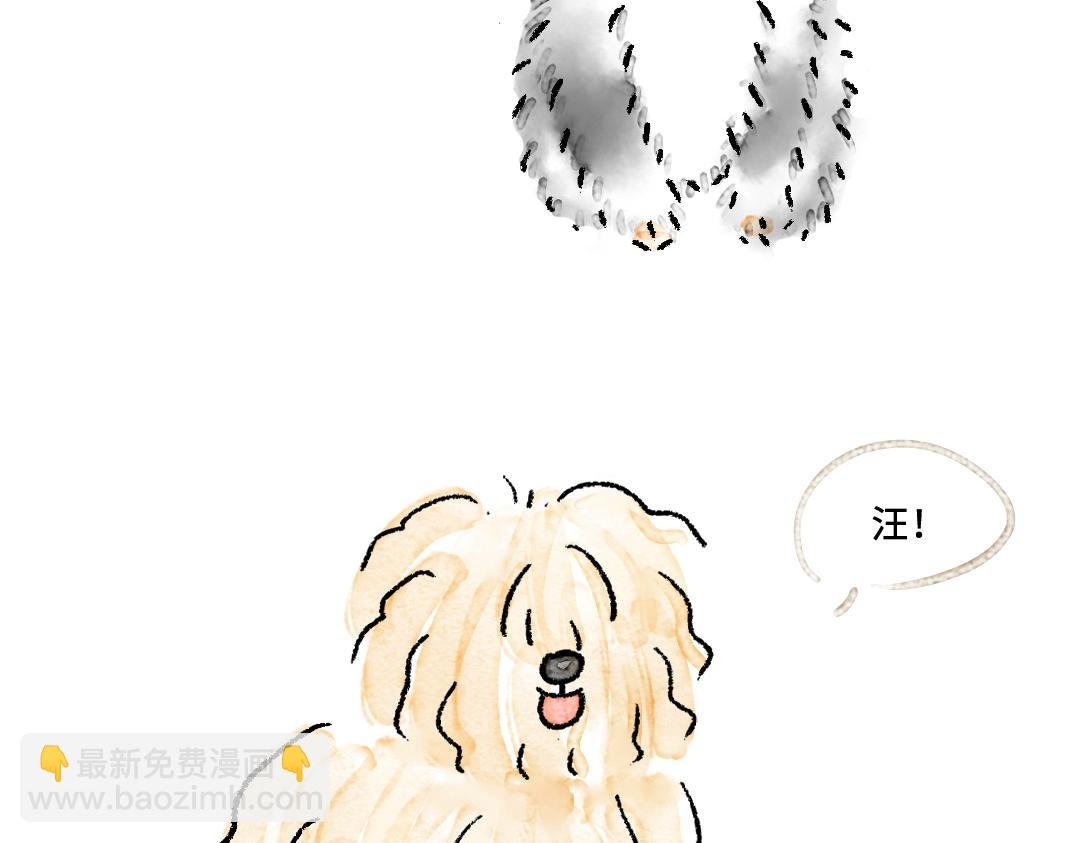 你知道什么叫斑秃吗