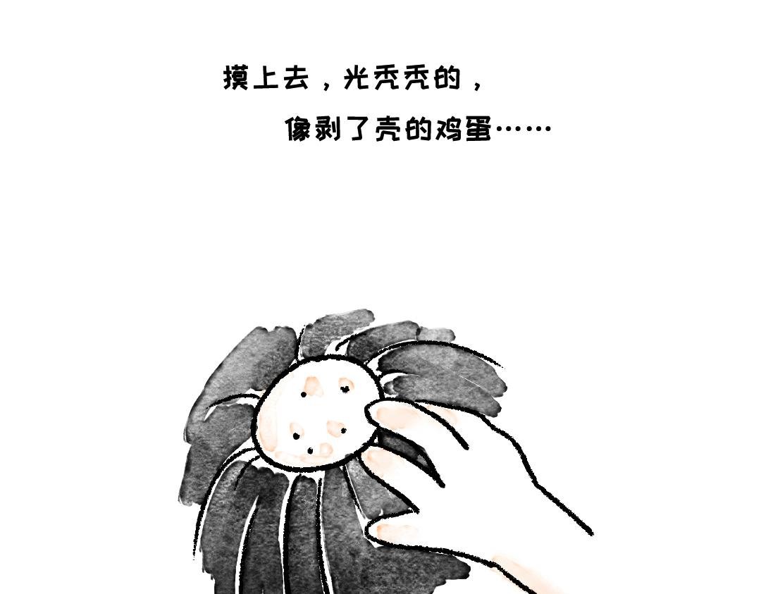 你知道什么叫斑秃吗