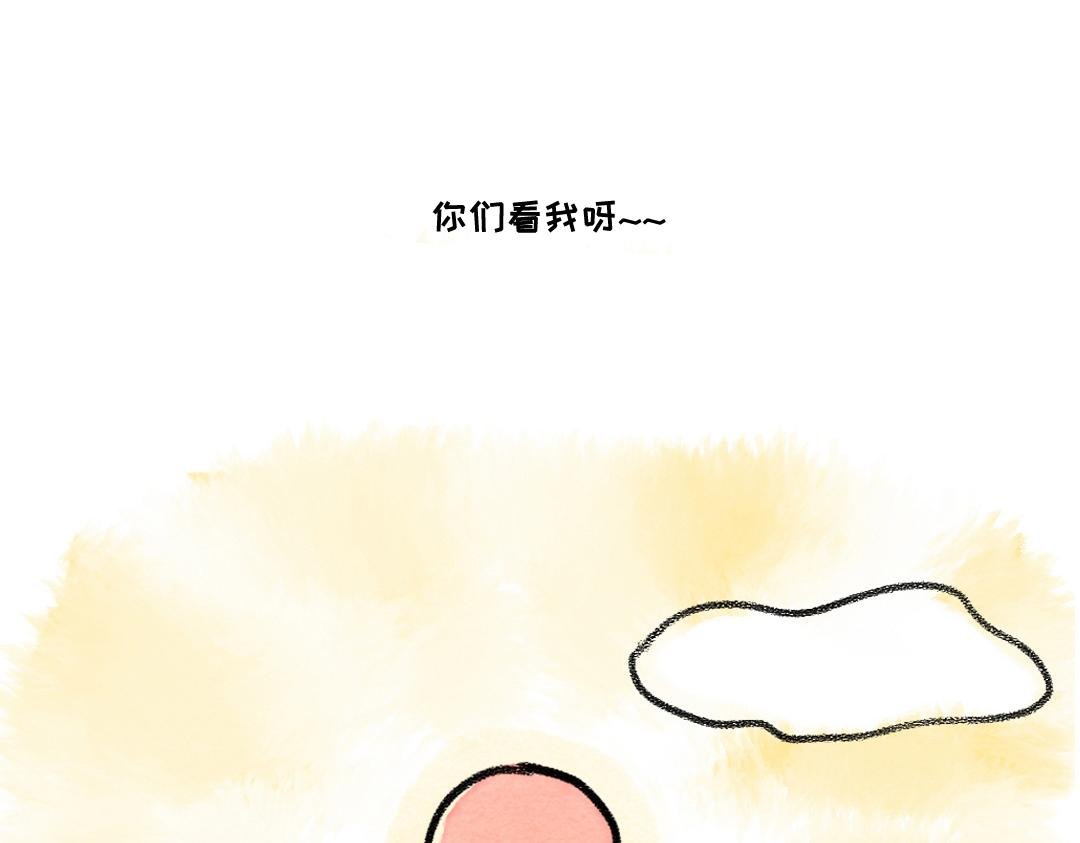 你看呀