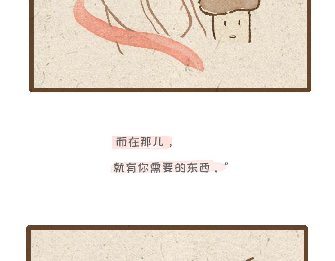 杏鲍菇的故事