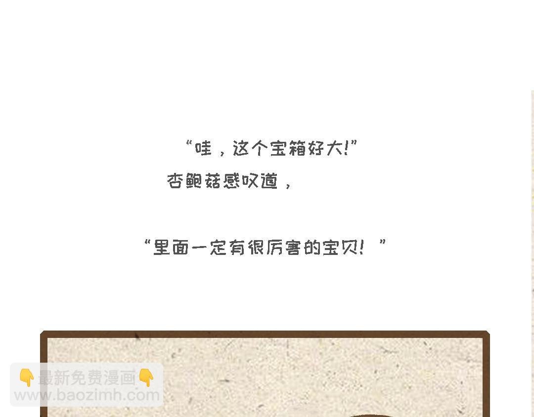 杏鲍菇的故事