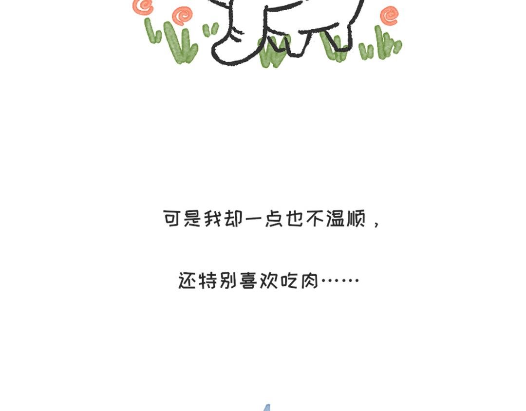 我的前世
