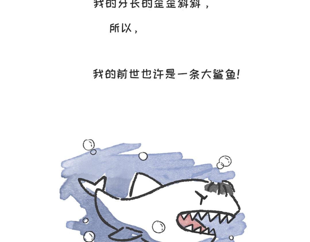 我的前世