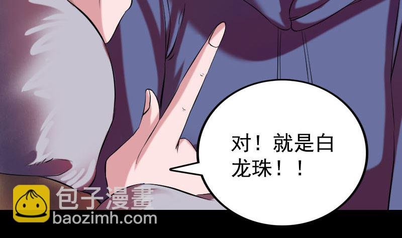 第158话 宝珠与白龙