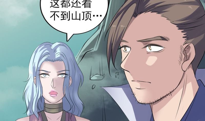 第203话 凌绝顶