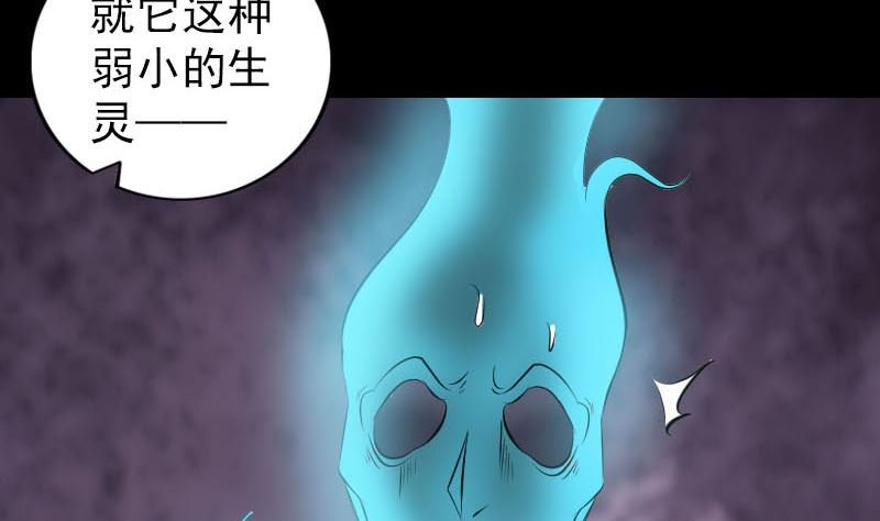 第256话 越挫越勇