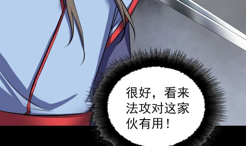 第297话 守护兽