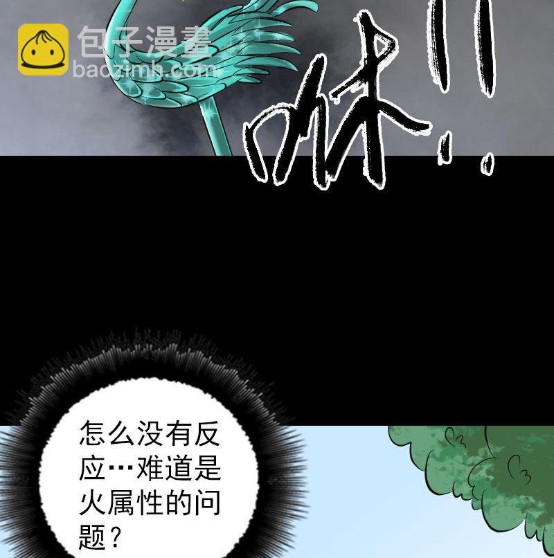 第308话 浴火重生