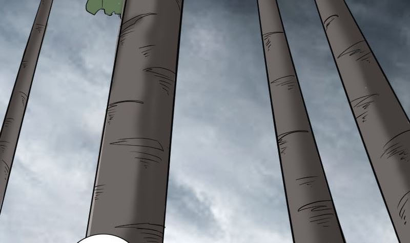 第339话 奇遇