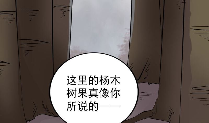 第340话 神秘老人