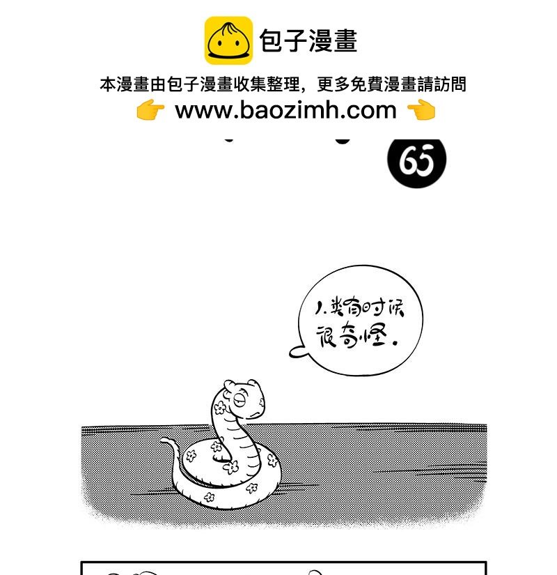 奇怪的人类