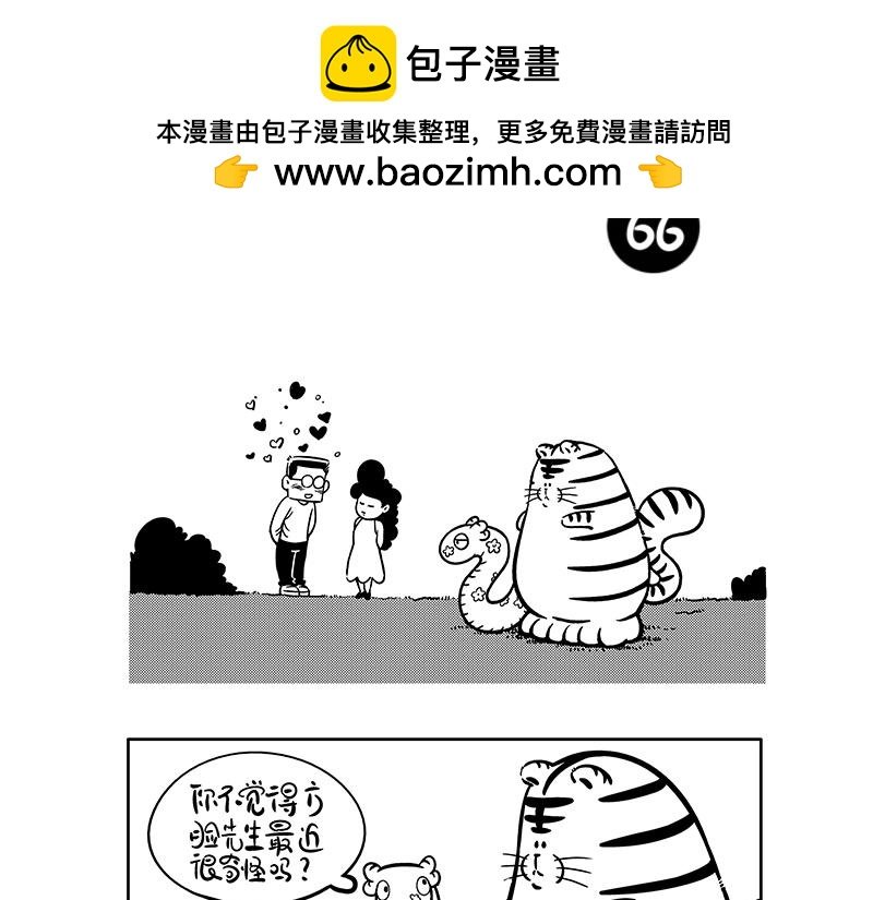奇怪的人类