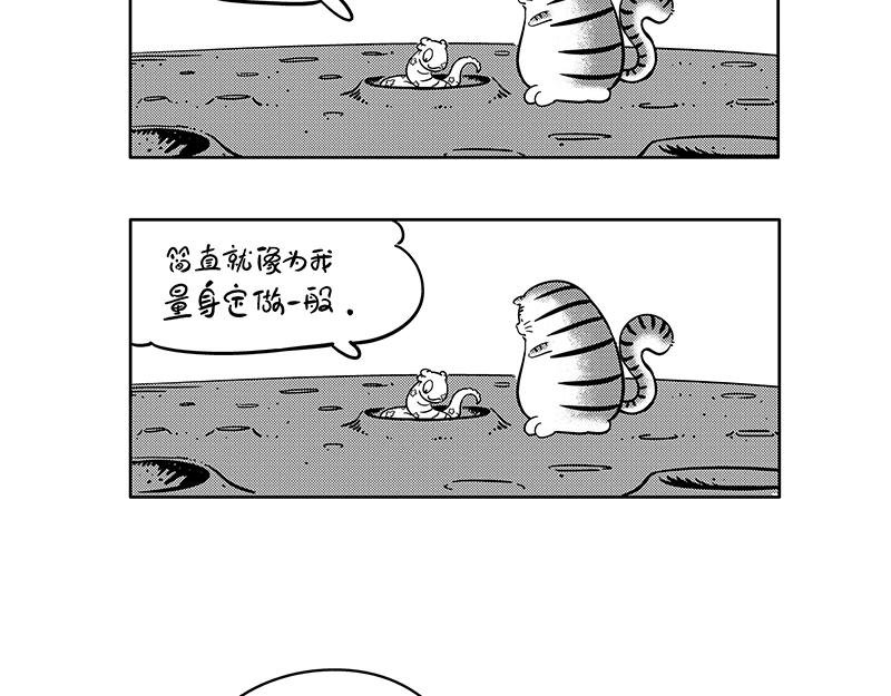 舒适圈