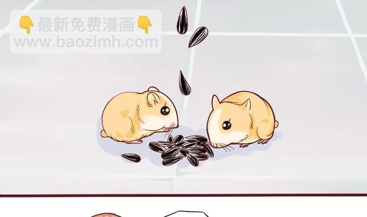 第009话 断袖情与少女心 2
