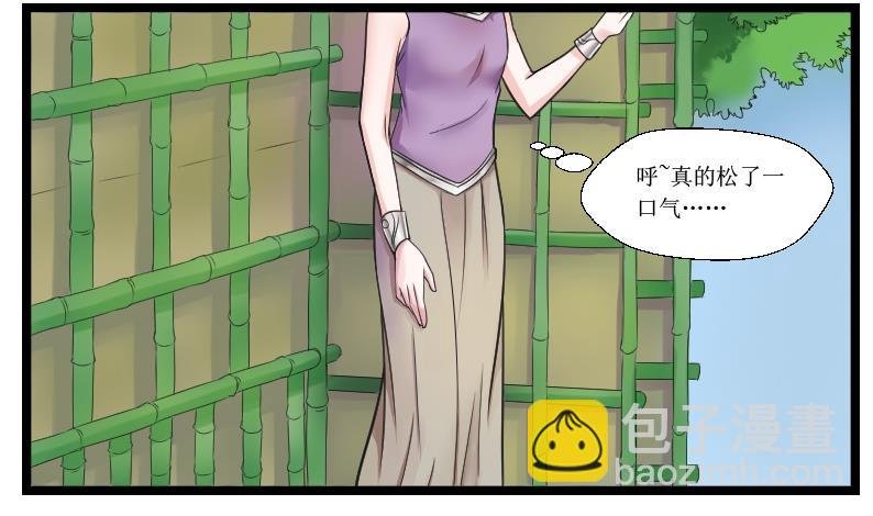 第100话 刺客 1