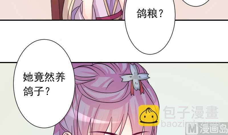 第118话 鸽子 1