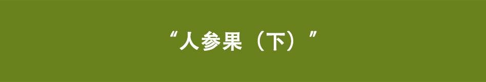 第9话 人参果（下）