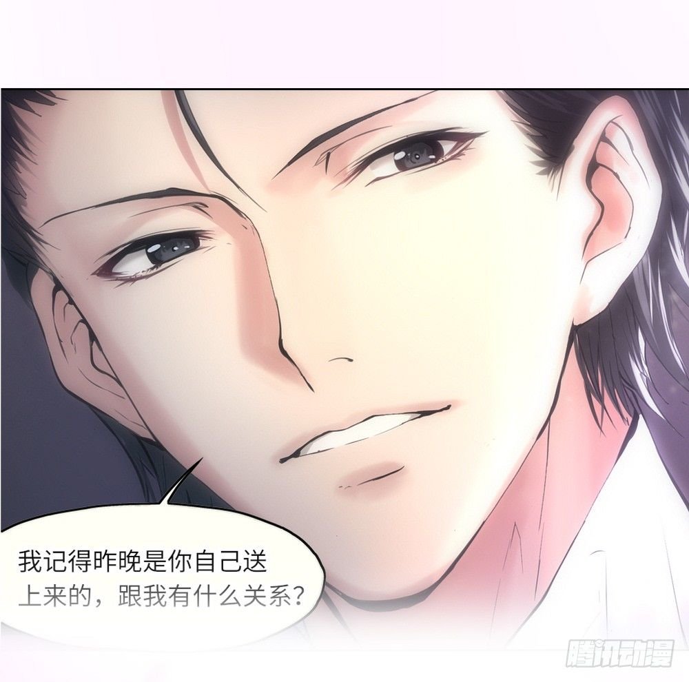 预告