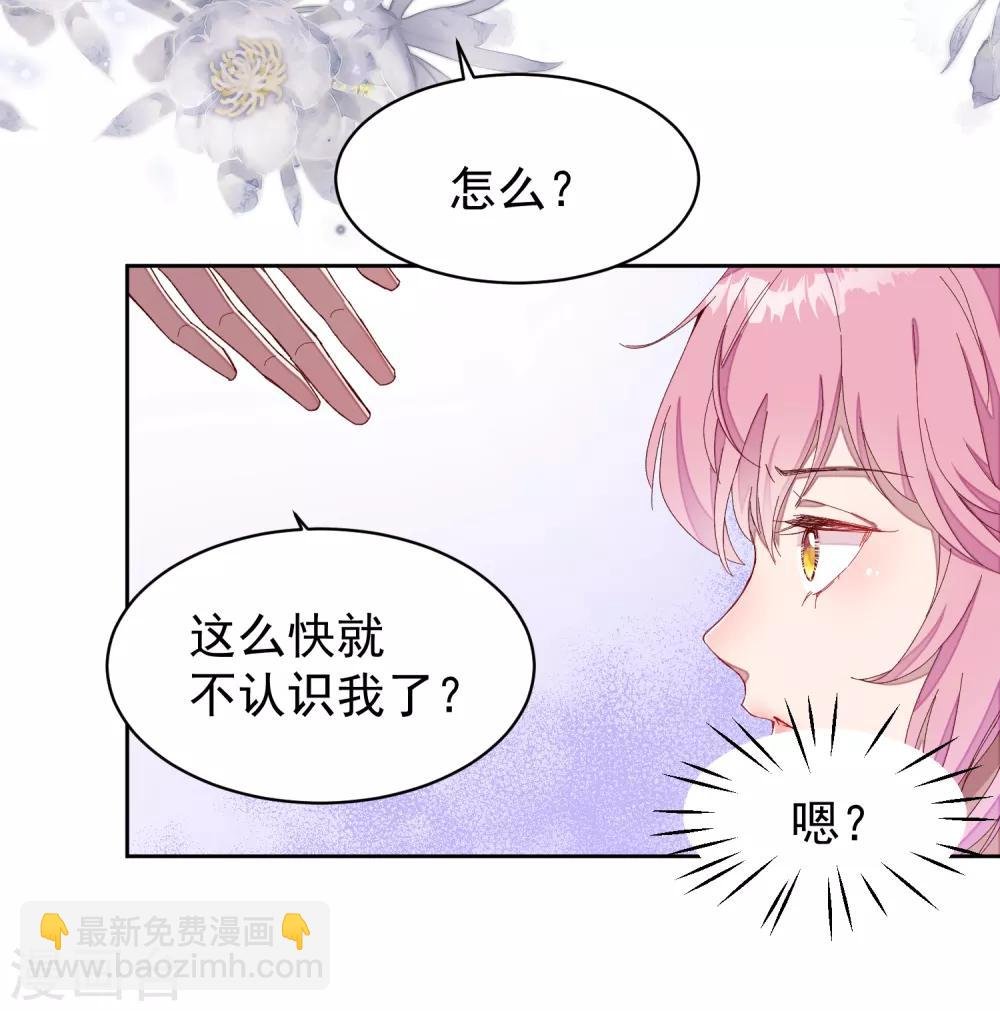 第1话 沈家的牺牲品