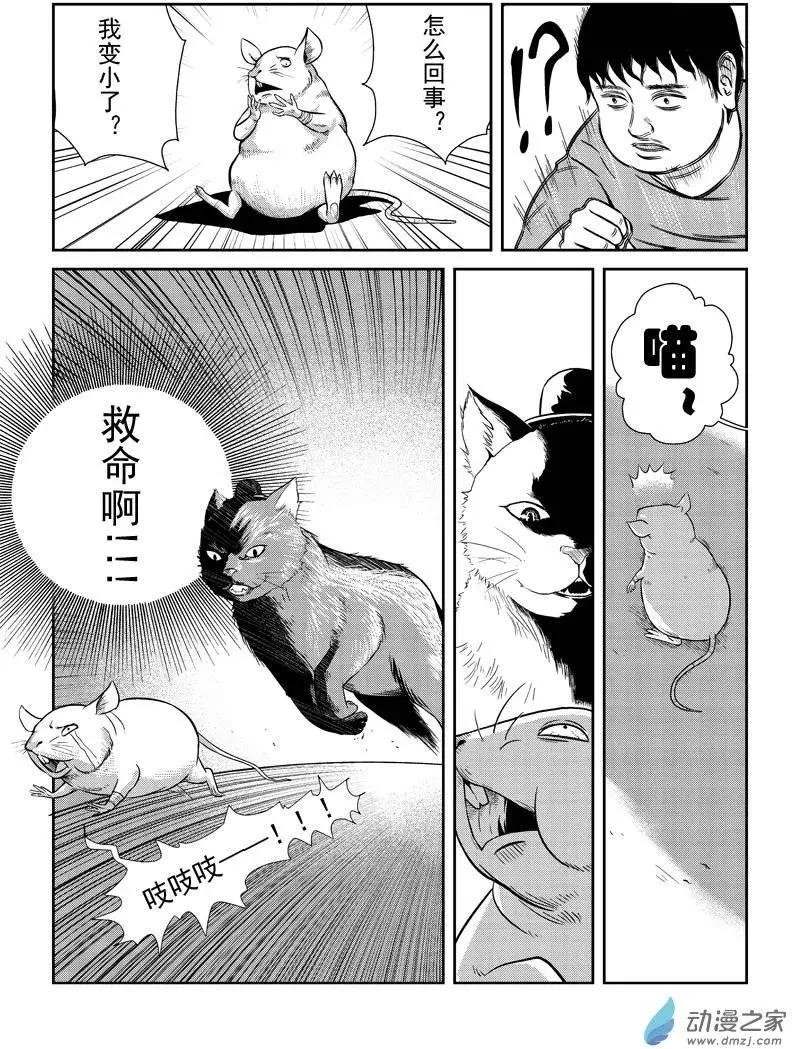 第11回
