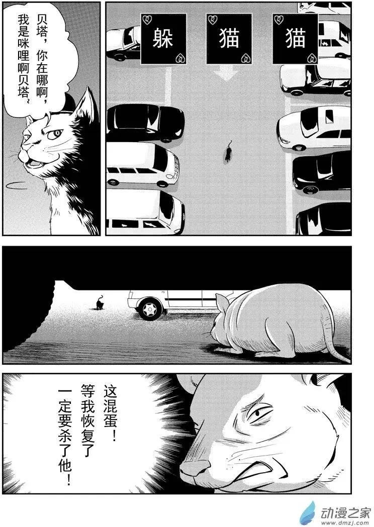 第11回