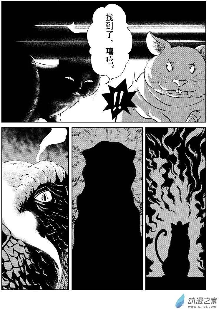 第11回