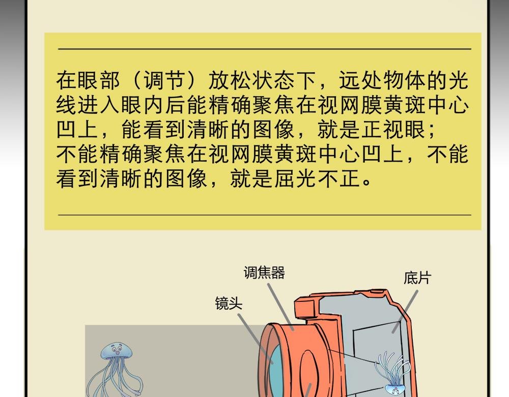 神奇的视觉