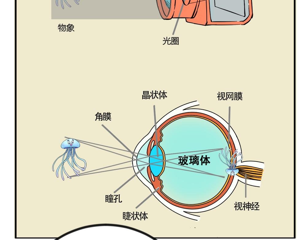 神奇的视觉